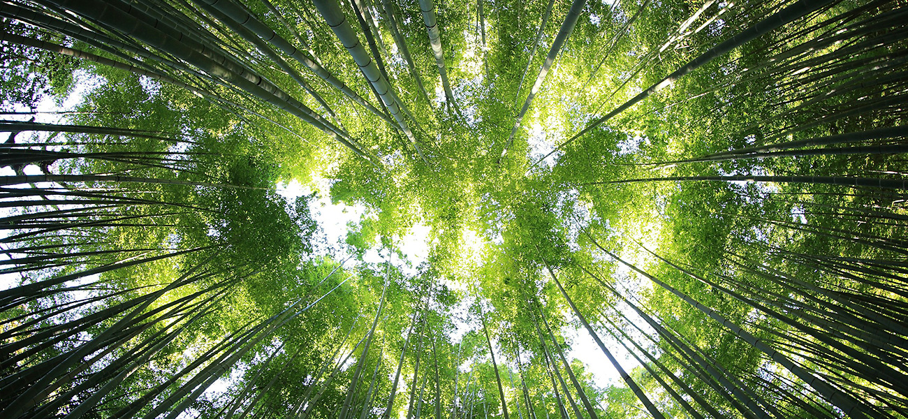 Transition vers les énergies bas. © kazuend