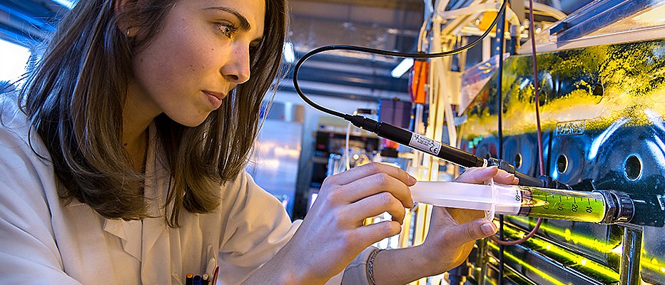 Photobioréacteur à plauqes pilote pour la culture de microalgues. © L.Godart/CEA