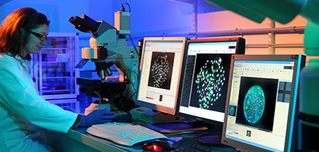 Acquisition d'images d'organoïdes par microscopie à épifluorescence