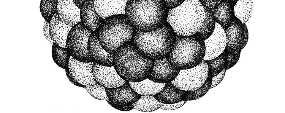 La Revue du CEA - n°11