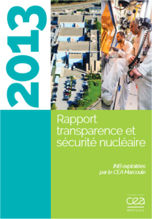 CEA Marcoule, Rapport TSN 2013