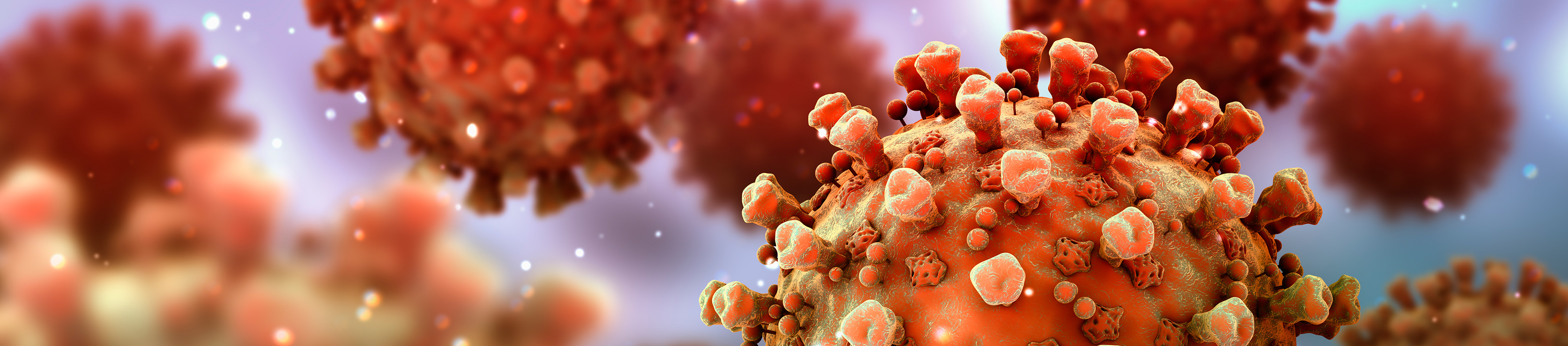 Le CEA et son écosystème