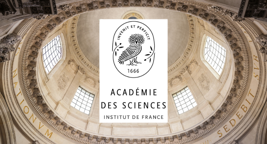 Quatre scientifiques du CEA lauréats de l’Académie des sciences en 2025