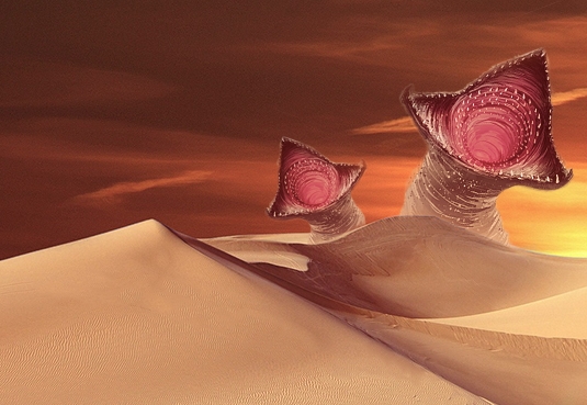 Arrakis est une planète à l’environnement désertique particulièrement hostile : températures extrêmement élevées, soleil de plom