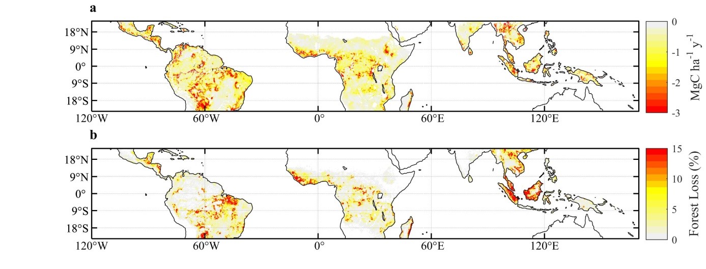 Pertes de carbone et déforestation dans les tropiques (2010-2017).jpg
