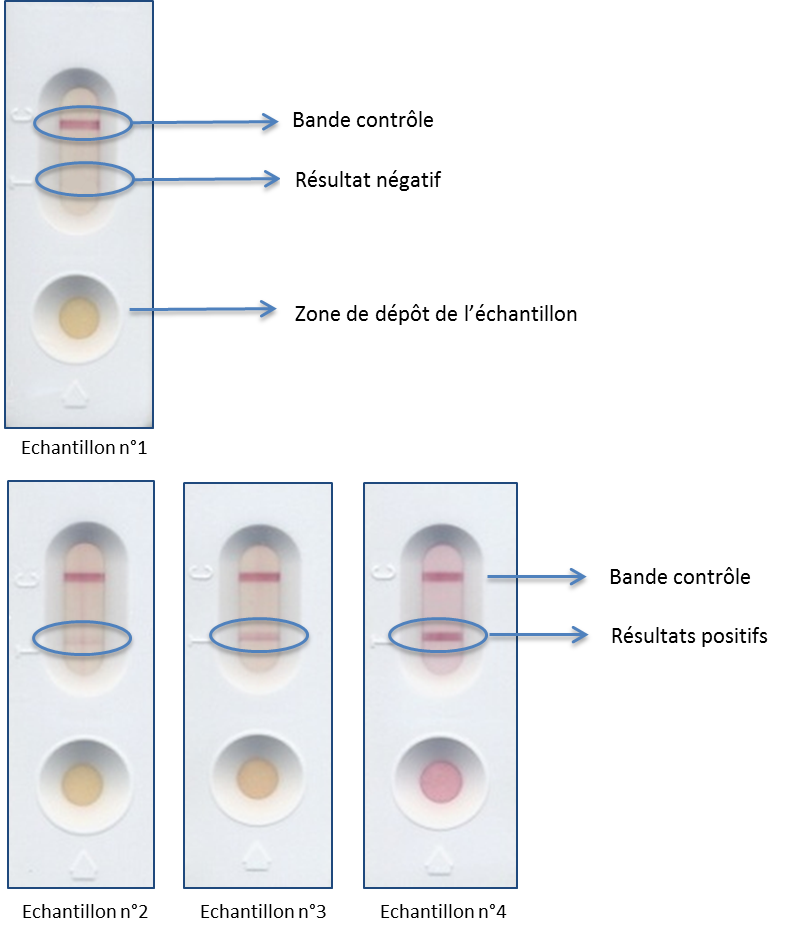 7_vue des kits testes.png