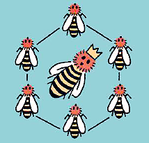epigenetique-ruche.png