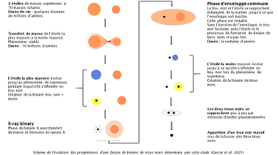 Schéma évolution des progéniteurs d’une fusion de binaire de trous noirs (Garcia et al. 2021) Schéma évolution des progéniteurs d’une fusion de binaire de trous noirs-petit-format.png