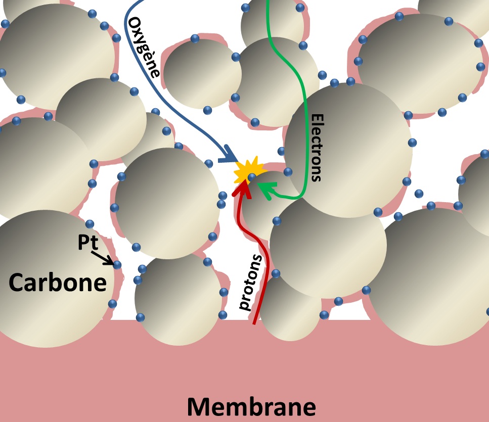 schema ensemble electrode membrane 