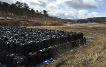 Fukushima : les leçons d’une décontamination exceptionnelle des sols