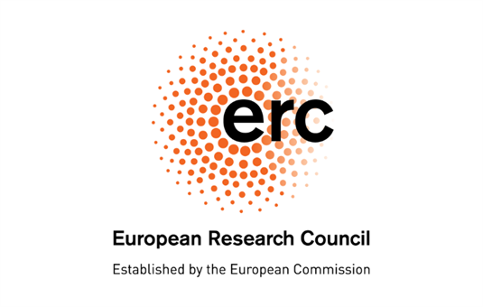 Three CEA projects selected for ERC Synergy 2025 grants