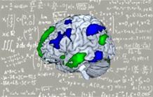 Identification d’un réseau d’aires cérébrales impliqué dans les mathématiques